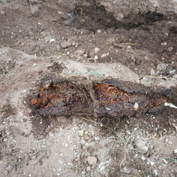 Pilz Sockelmauer außen